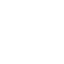 Medal Icon
