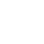Vehicle Icon