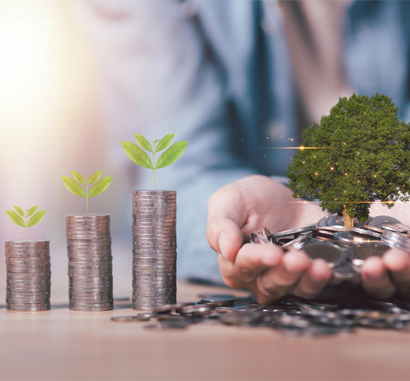 Empowering Dreams with Micro Loans